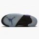 Air Jordan 5 Retro Alternate Grape Pánské Grape Ice/Černá-Clear-New Emer 136027 500 AJ5 Jordánské boty